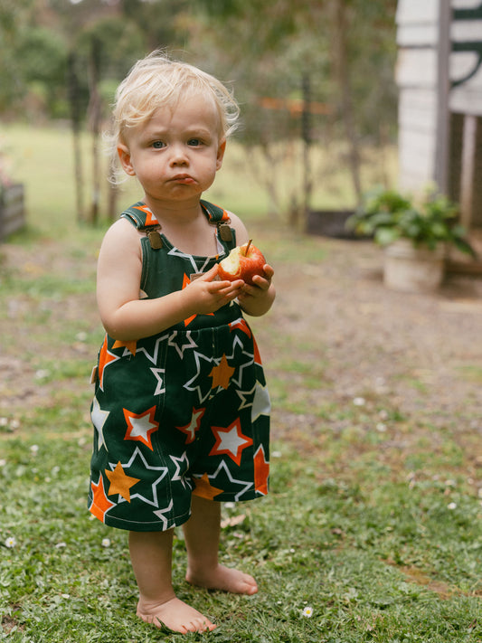 Star gazer shortalls